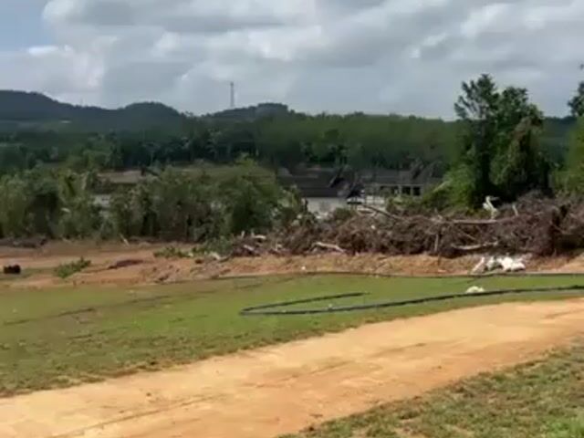 Video Image 1