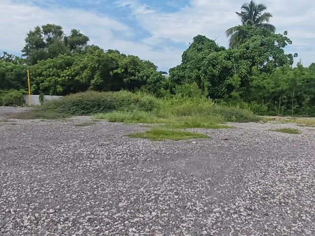 Video Image 1