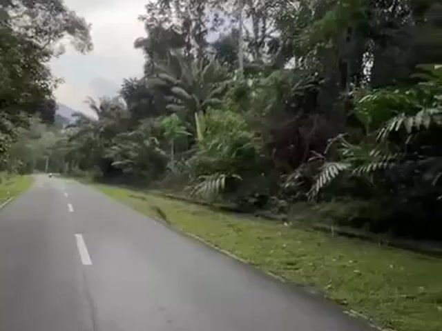 Video Image 1