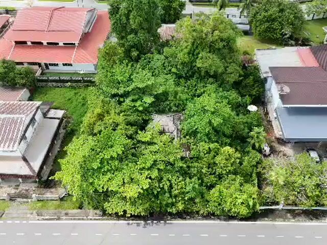 Video Image 1