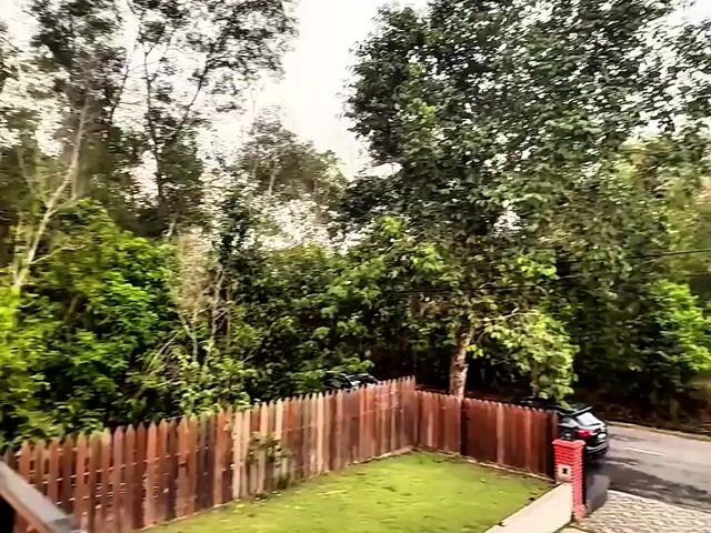Video Image 1