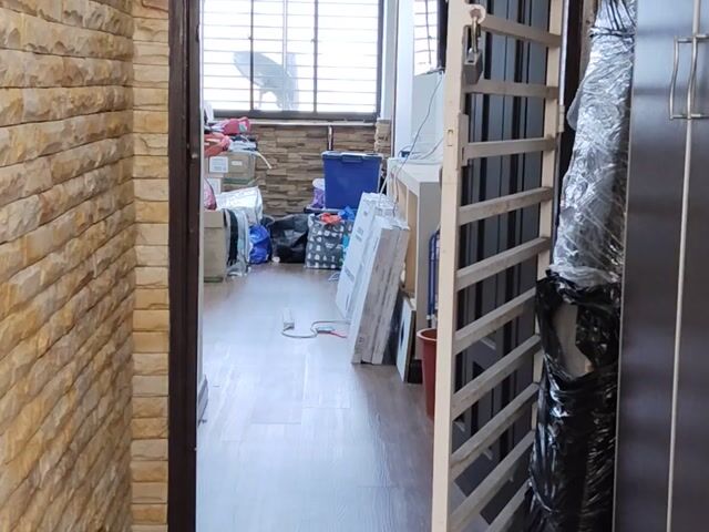 Video Image 1