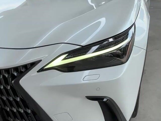 2023 Lexus NX 250 2.5 VL (A) - 1