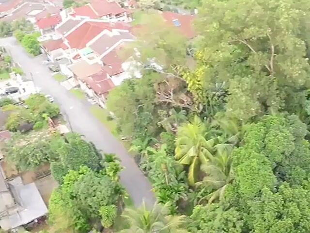 Video Image 1