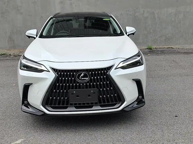 2024 Lexus NX250 2.5 VERSION L (A) - 1