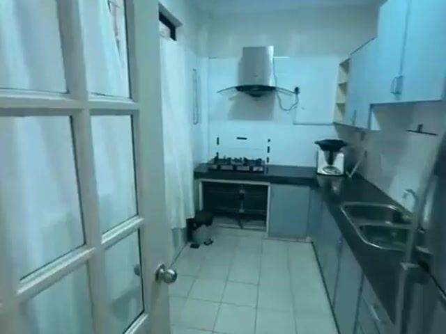 Video Image 1