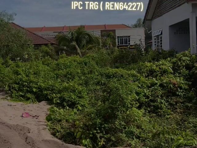 Video Image 1