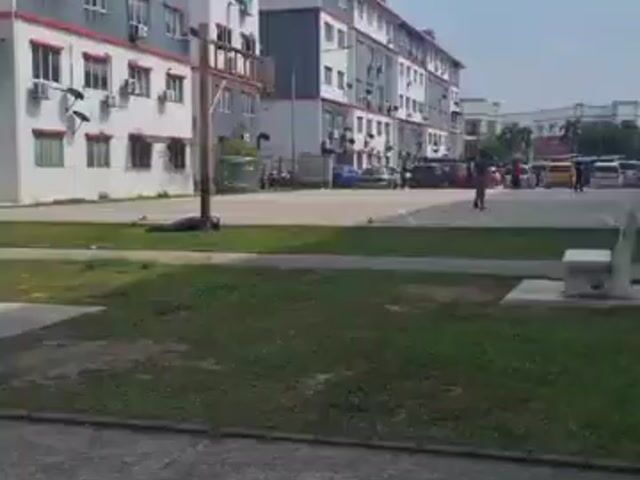 Video Image 1