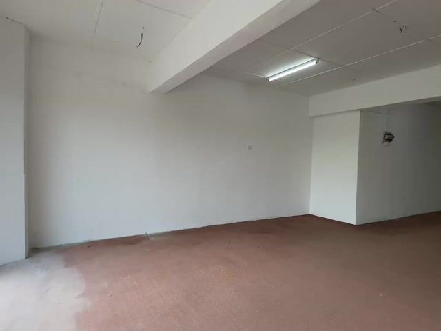 Video Image 1