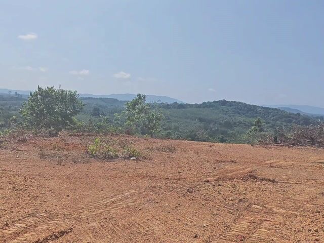 Video Image 1