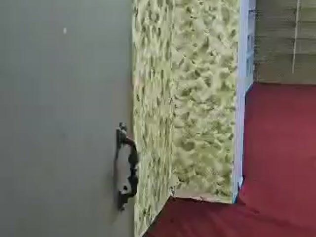 Video Image 1