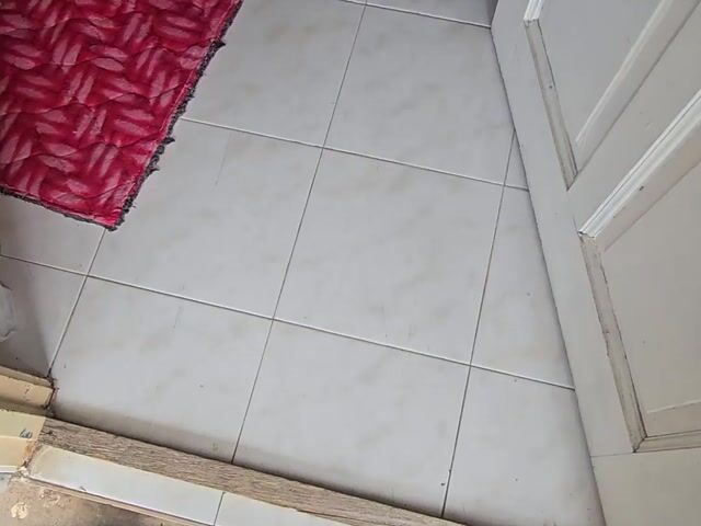 Video Image 1