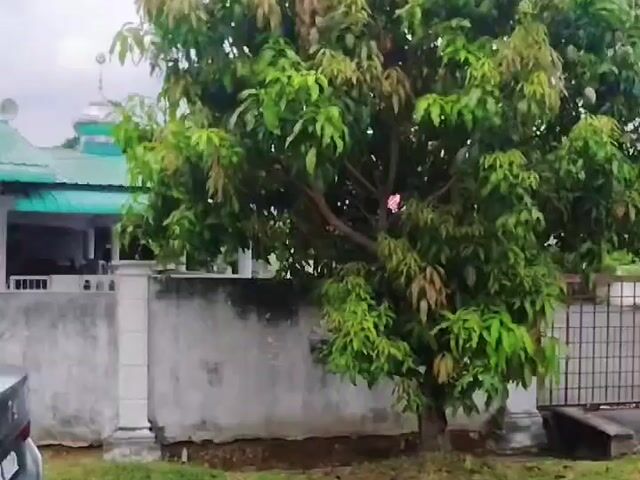 Video Image 1