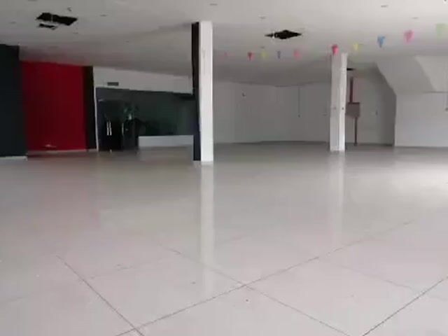 Video Image 1