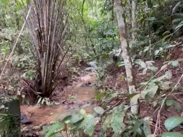 Video Image 1