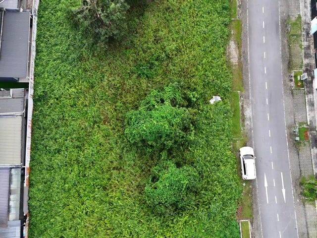 Video Image 1