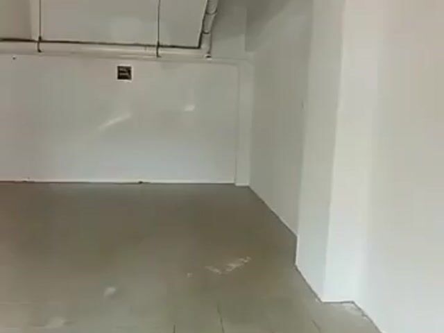 Video Image 1