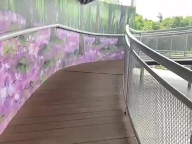 Video Image 1