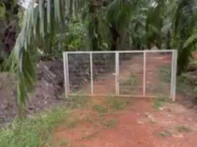 Video Image 1