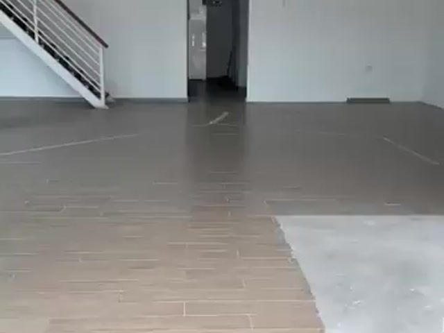 Video Image 1