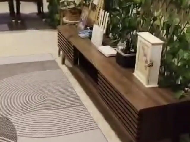 Video Image 1