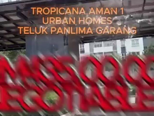 Video Image 1