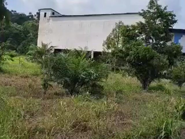 Video Image 1