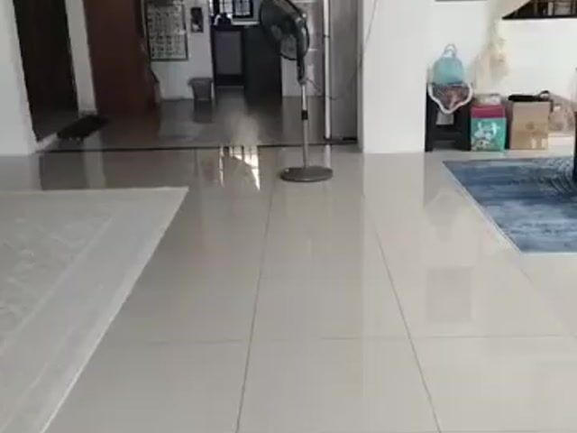 Video Image 1