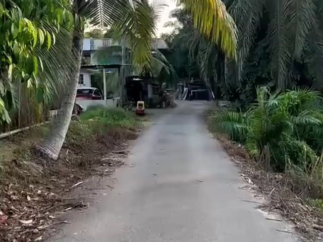Video Image 1