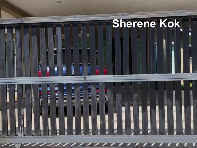 Video Image 1