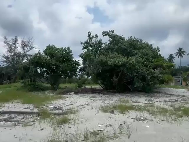 Video Image 1