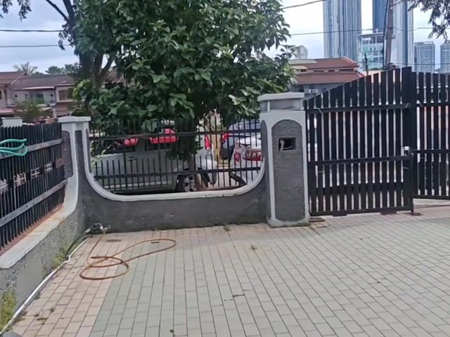 Video Image 1