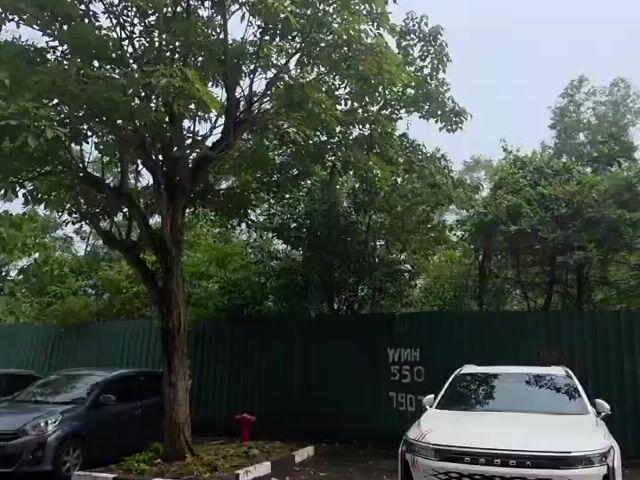 Video Image 1