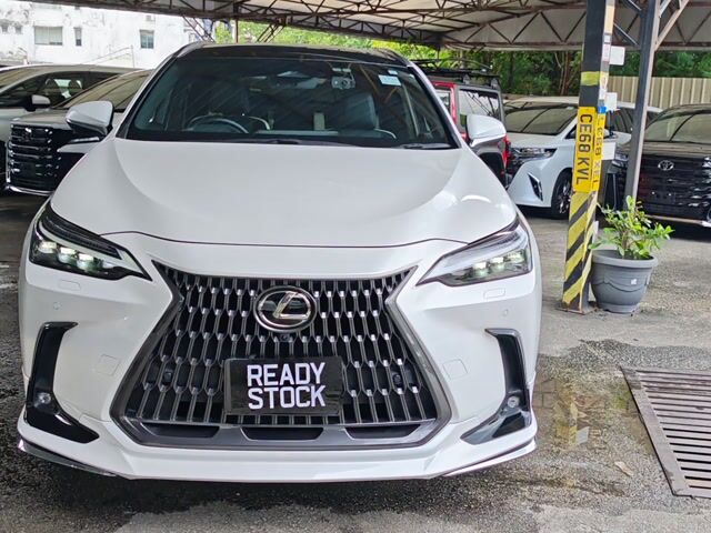 2023 Lexus NX 250 2.5 LUXURY (A)MODELLISTA - 1