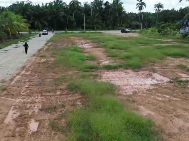 Video Image 1