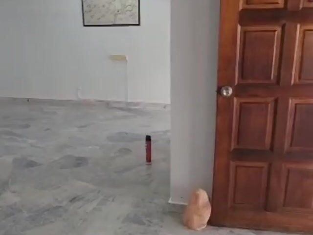 Video Image 1
