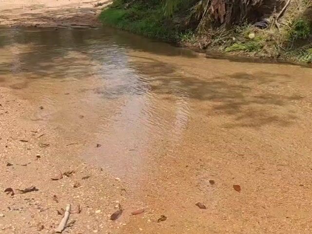 Video Image 1