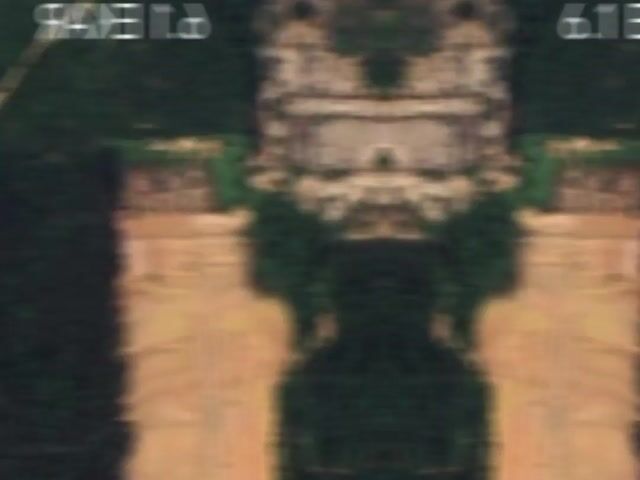 Video Image 1