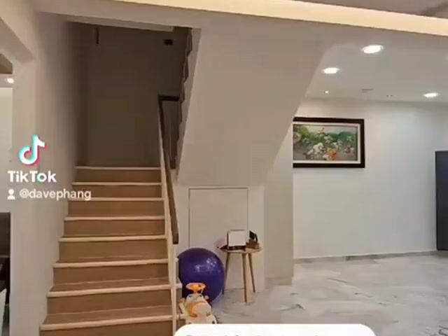 Video Image 1