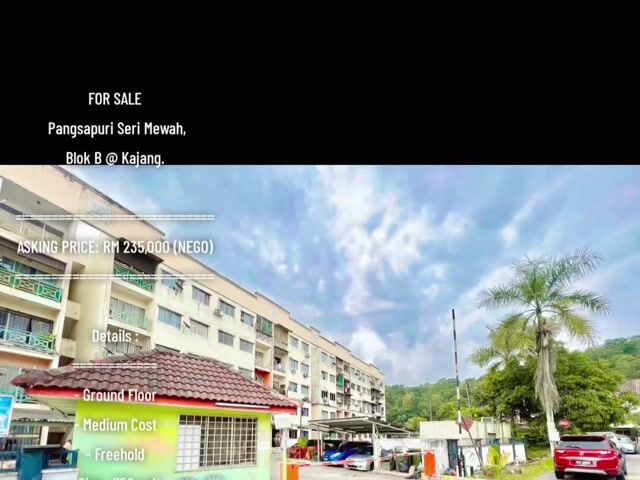 Video Image 1