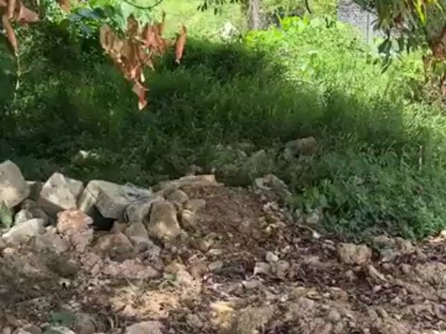 Video Image 1