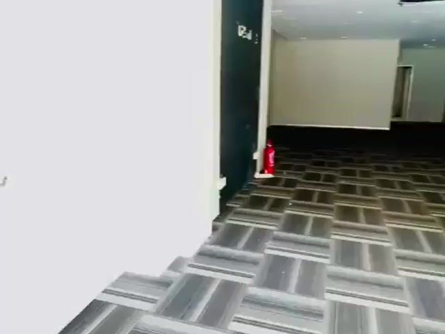 Video Image 1