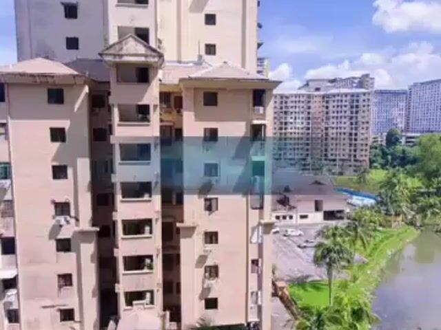 Video Image 1