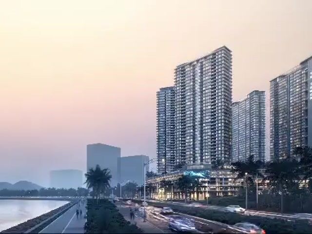 Video Image 1