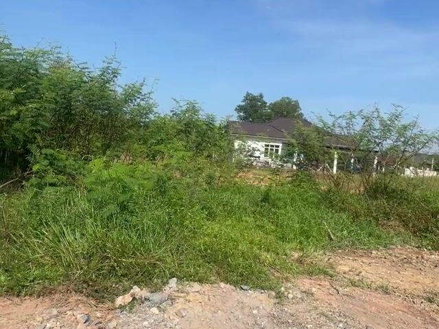 Video Image 1