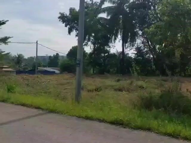 Video Image 1