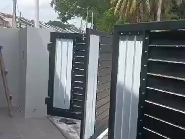 Video Image 1