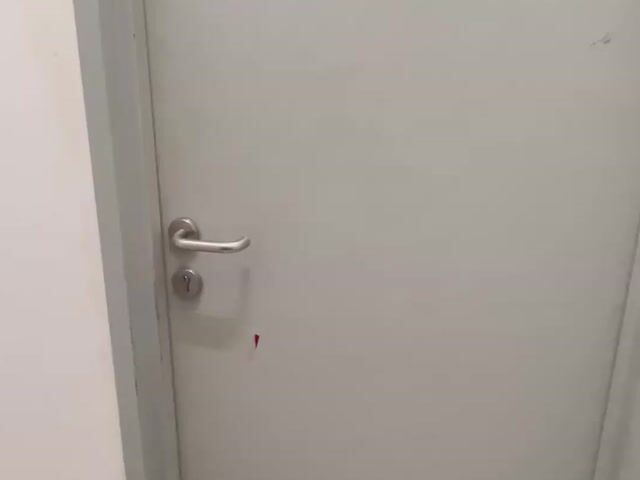 Video Image 1