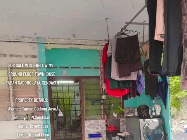 Video Image 1