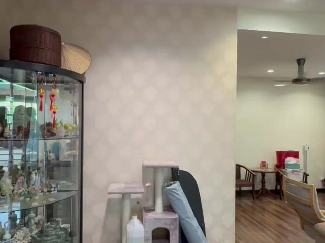 Video Image 1